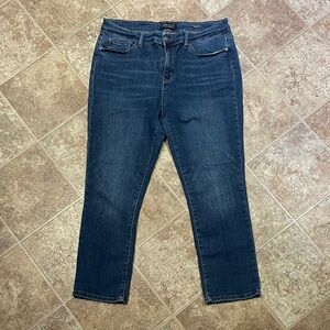 Judy Blue Capri fit Jeans size 15/32